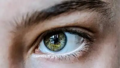 pixabay.com, фото - Новости Zakon.kz от 15.10.2021 22:14