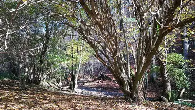 Похолодание прогнозируют синоптики в Казахстане , фото - Новости Zakon.kz от 14.09.2022 11:45