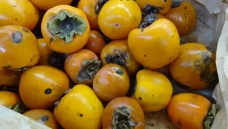 В Казахстан пытались завезти 20 тонн зараженной кыргызской хурмы