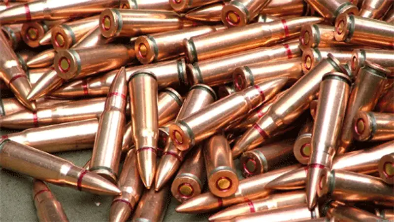 В Караганде мужчина сдал в полицию более 1750 патронов, фото - Новости Zakon.kz от 27.10.2013 18:11