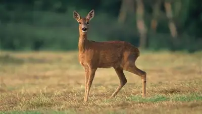 Zakon.kz, фото - Новости Zakon.kz от 30.11.2015 16:17