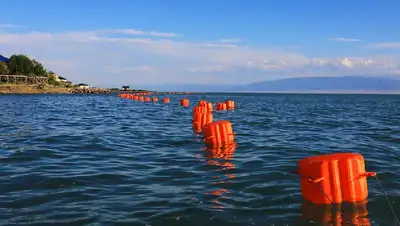 ВКО, отдых, пляж, фото - Новости Zakon.kz от 20.07.2022 14:47