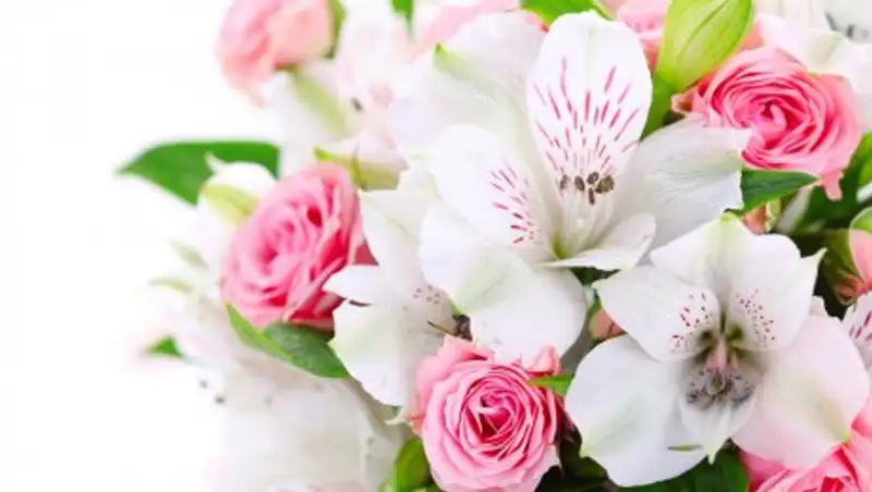 МОН РК: Запретов от госорганов на цветы для учителей не было