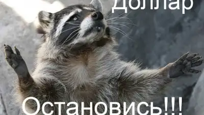 Zakon.kz, фото - Новости Zakon.kz от 06.11.2015 19:40