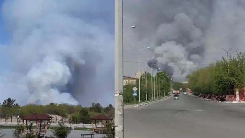 Озвучен ущерб от пожара в резервате «Семей орманы»