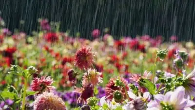 АиФ-Украина, фото - Новости Zakon.kz от 06.06.2018 12:09