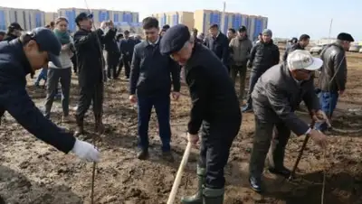 bnews.kz, фото - Новости Zakon.kz от 28.04.2018 09:59