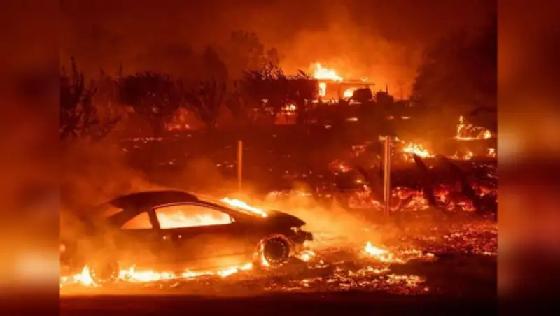 Компанию в США оштрафовали на $1,9 млрд из-за природных пожаров