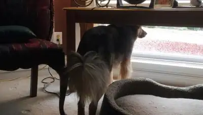 Zakon.kz, фото - Новости Zakon.kz от 06.12.2016 16:45