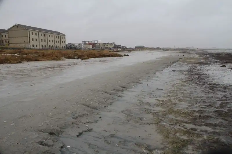 Жители Актау бьют тревогу: уровень моря упал на 10 см ниже исторического минимума, фото - Новости Zakon.kz от 04.11.2022 13:25