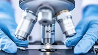 pixabay.com, фото - Новости Zakon.kz от 29.10.2021 21:15