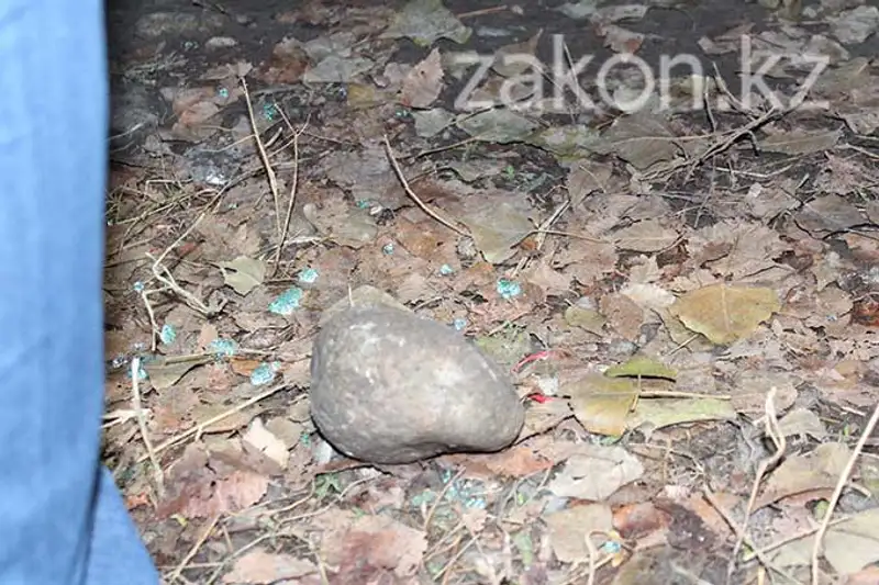 В Алматы задержали пьяного автовора (фото) В Алматы задержали пьяного автовора (фото), фото - Новости Zakon.kz от 27.11.2013 23:40