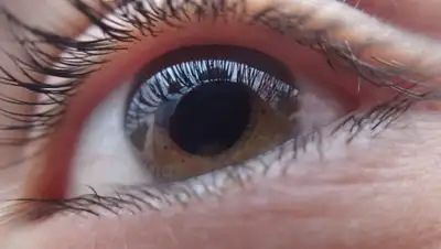 Pixabay, фото - Новости Zakon.kz от 25.05.2019 14:00