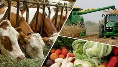 Zakon.kz, фото - Новости Zakon.kz от 19.10.2017 19:10