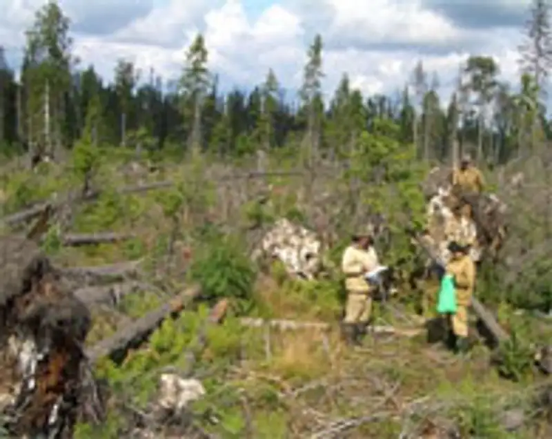 Сенат РК одобрил в первом чтении законопроект по поправкам в сфере лесного хозяйства и животного мира, фото - Новости Zakon.kz от 14.12.2011 19:34