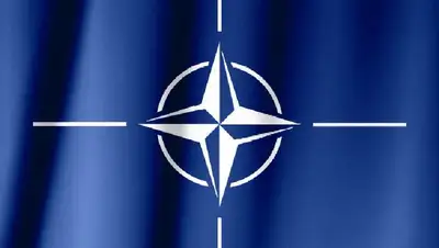 Две из 30 стран НАТО не ратифицировали присоединение Швеции и Финляндии, фото - Новости Zakon.kz от 20.10.2022 15:59