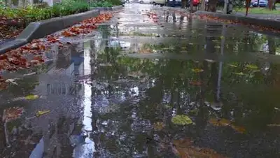 из открытых источников, фото - Новости Zakon.kz от 22.09.2020 17:44