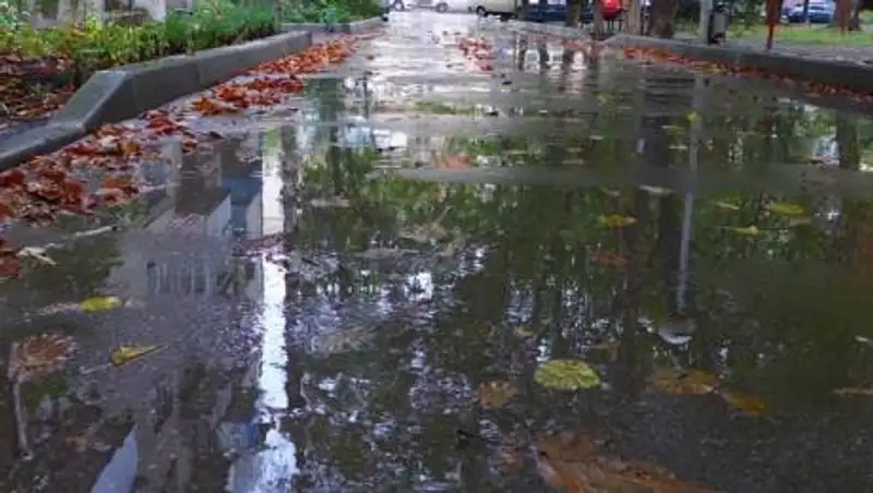 Сильный дождь, заморозки и ветер ожидаются в Казахстане