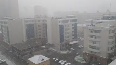 zakon.kz, фото - Новости Zakon.kz от 30.04.2019 14:15