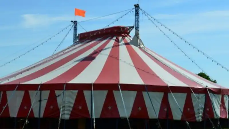 В Австрии погибли двое участников фестиваля в результате обрушения шатра