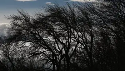 Zakon.kz, фото - Новости Zakon.kz от 30.10.2017 11:36