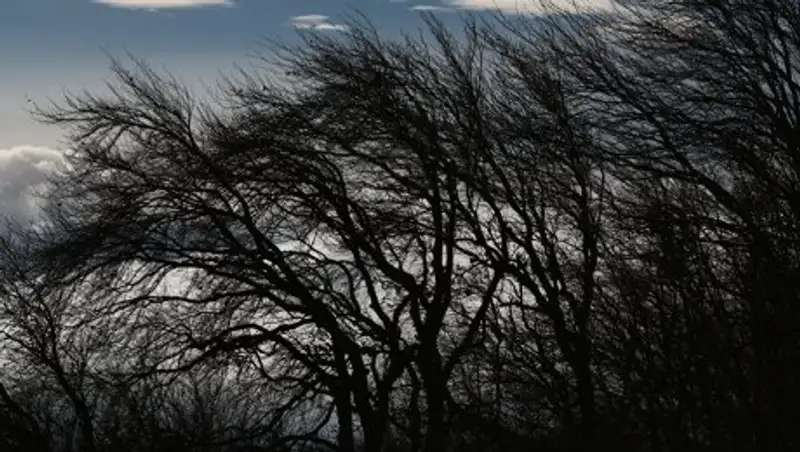 Сильный ветер ожидается в двух областях Казахстана