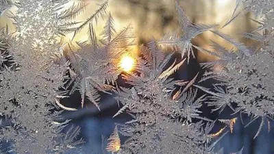 DonDay, фото - Новости Zakon.kz от 05.12.2018 09:31