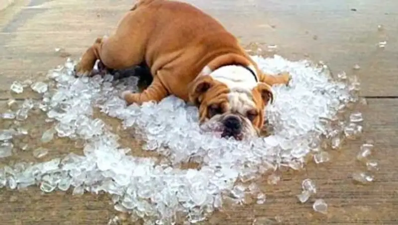 В нескольких областях в среду синоптики прогнозируют сильную жару