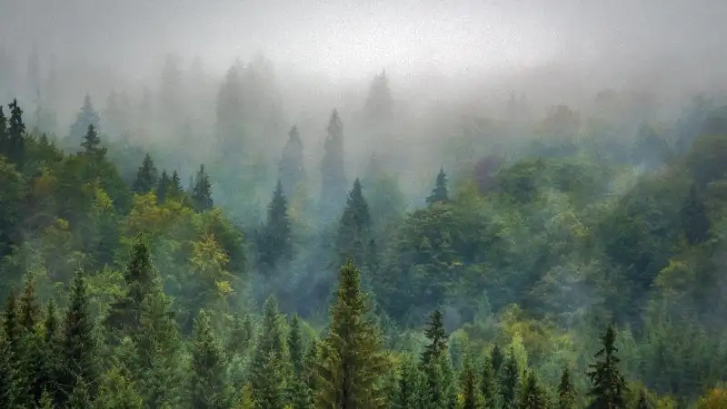 Туман накроет север Казахстана