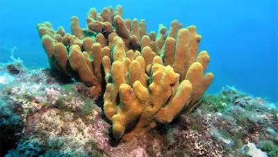 Zakon.kz, фото - Новости Zakon.kz от 24.02.2016 23:51