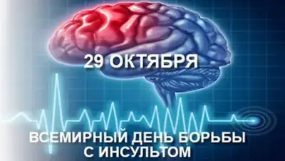 Zakon.kz, фото - Новости Zakon.kz от 28.10.2016 15:40