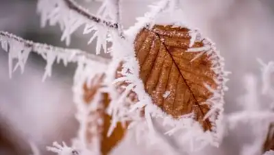 pxhere, фото - Новости Zakon.kz от 08.11.2021 17:36