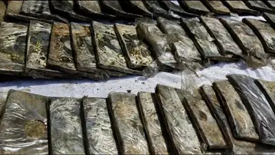 Zakon.kz, фото - Новости Zakon.kz от 18.05.2017 16:49