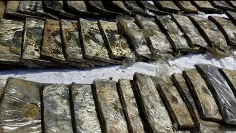 Наркодилера с гашишем на 11 млн тенге поймали в Астане