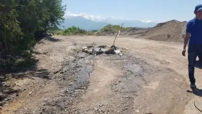 Zakon.kz, фото - Новости Zakon.kz от 09.06.2017 00:48