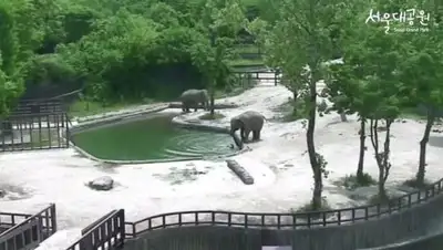 Zakon.kz, фото - Новости Zakon.kz от 21.06.2017 05:16