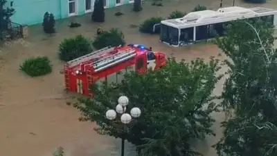 соцсетей, фото - Новости Zakon.kz от 17.06.2021 13:56