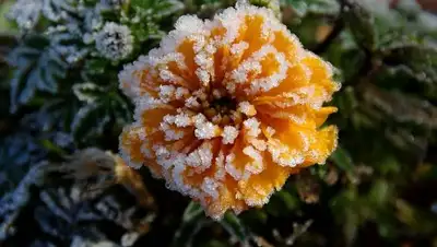 Zakon.kz, фото - Новости Zakon.kz от 22.09.2017 01:09