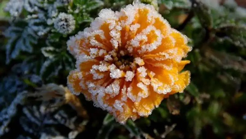 Погода портится: в нескольких областях РК обещают заморозки и дождь со снегом