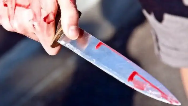 Разозлившаяся пенсионерка заколола сына ножом в Павлодарской области