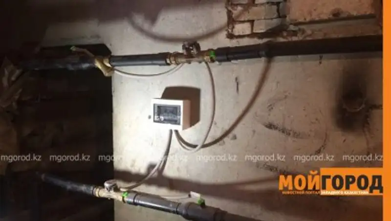 В Уральске контролеры счетчиков тепла не могут работать в подвалах многоэтажек из-за блох 