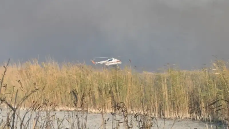 В Атырауской области потушили горящий камыш
