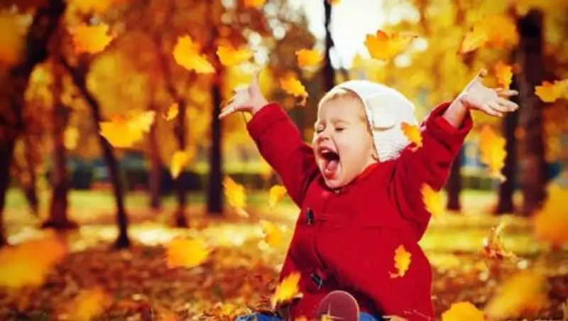 Погоду без осадков обещают синоптики 26 октября