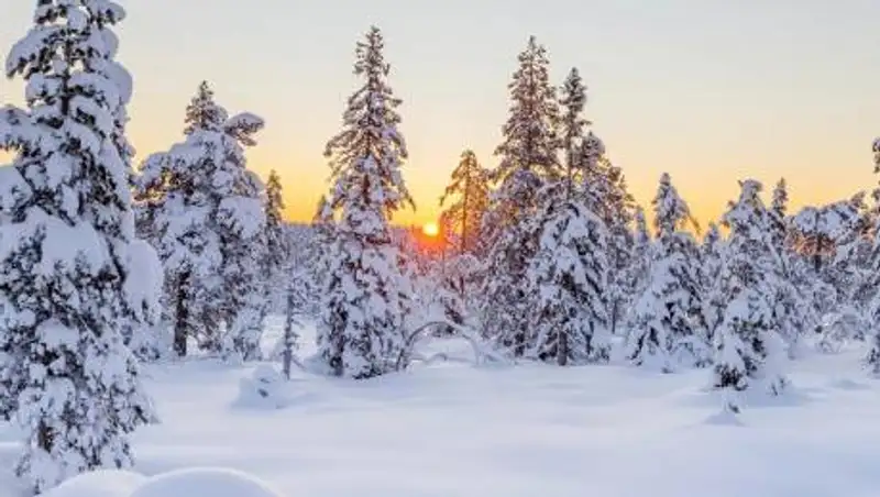 Дождь и снег ожидаются в Казахстане. Погода на 2 февраля
