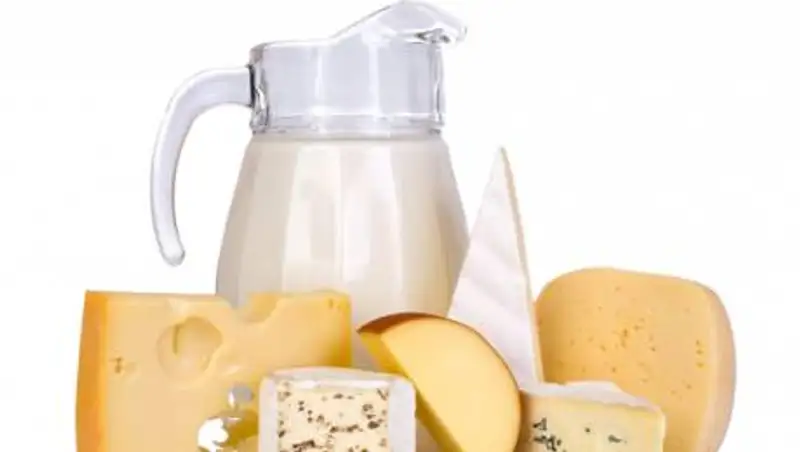 Власти Алматы будут субсидировать затраты предприятий на закуп молока для производства сыра
