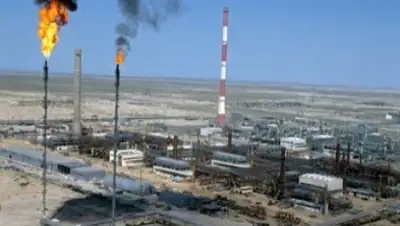 Zakon.kz, фото - Новости Zakon.kz от 08.12.2015 20:58