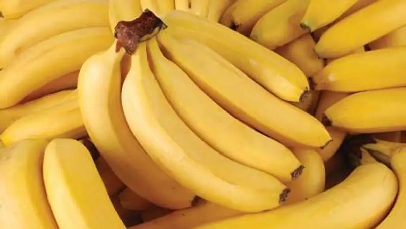 Информацией о новом вирусе в бананах пугают казахстанцев