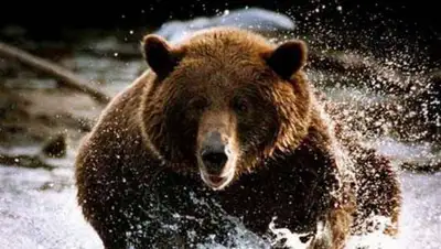 РГО РБ, фото - Новости Zakon.kz от 12.06.2018 01:33