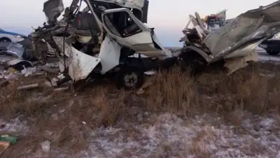 Zakon.kz, фото - Новости Zakon.kz от 25.11.2016 01:15