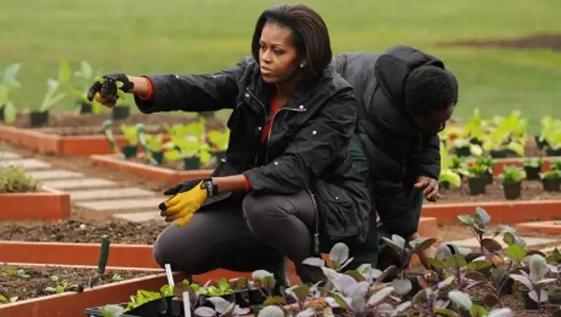 Меланья Трамп сохранит огород Мишель Обамы